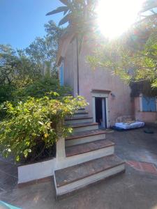 Lulù - Il "Vecchio Geco" B&b in Maratea