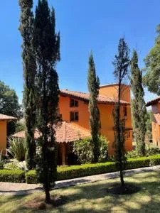 Ciclamen - 马萨米特拉