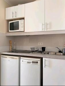 Cannes appartement vue mer , piscine