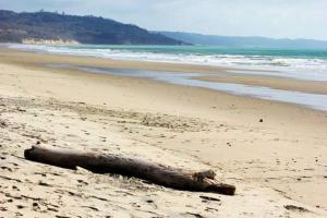 Natural Parque Ecológico