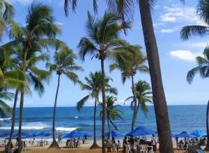 Ap de 2 quartos em Stella Maris, a 150m da praia - Praia do Flamengo