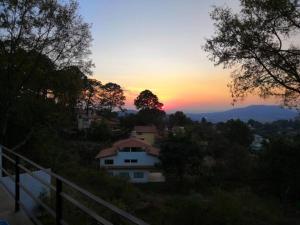 Casa Alrededor de un Pino