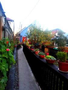 CABAÑA 325 centro de QUELLON