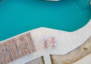 Coral De Fuego Isla Fuerte
