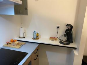 Maisons d'hotes Intime et tranquille : Appartement Supérieur 2 Chambres 