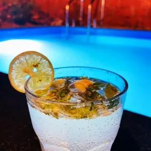 Shree Villa - Jambhulpāda