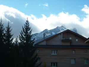 Appartements Les Myosotis : photos des chambres