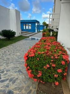 Apartamento alquiler cuidad flamingo