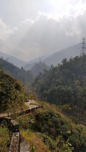 Chhota Haazri, By The Rajbari Bawali