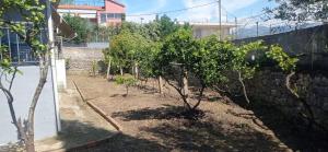 Yannoulas Family Home