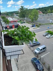 Apartamente9 Aurelia baile felix