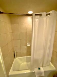 Cozy studio with FREE parking in Waikiki