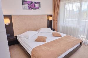 Double Room room in Hotel Regal
