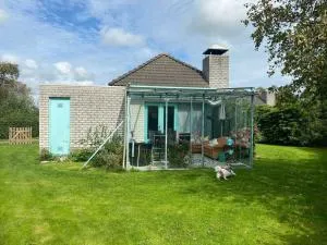 Noordzee omheind met hond - 诺德施华伍德