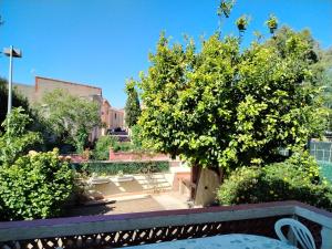 Maisons de vacances Grande maison 3 chambres - Jardin, terrasse et parking - Bord de mer : photos des chambres