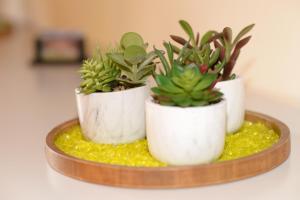 La Boverie, Chalet 137