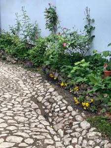 Blue House apartment