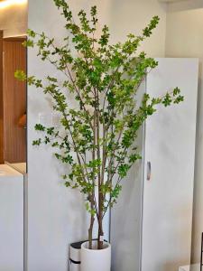 Deluxe Executive Corner Unit in Makati