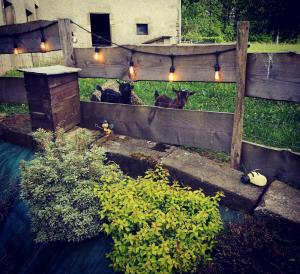 Maisons de vacances Gite de charme : A la volette : photos des chambres