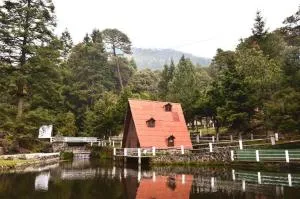 CABAÑA MADRE TIERRA - Atexcac