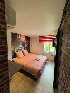 Appartement T1 4 Pers Clim parking privé - 埃皮纳勒