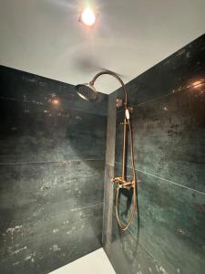 Appartements Appartement T1 4 Pers Clim parking prive : photos des chambres