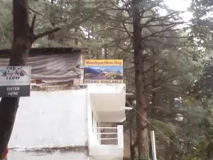 HIMALAYAN Triund Trekking and Snowline Trekking, Waterfalls View Hostel - Kangra