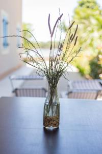 Villa Moletto Apartments with Sea view