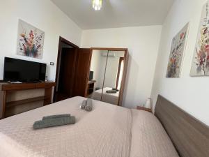 Petronia Home img5
