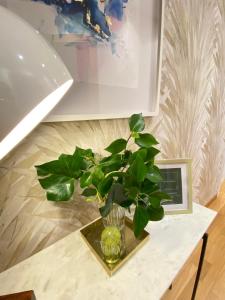 Apartamento boutique con terraza y vistas al mar. Porto Vilanova