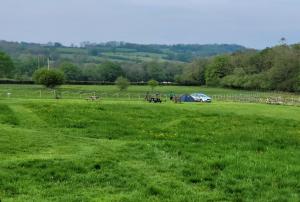 Unique Rental Tents on camping sitewith private Kitchenettes & Comfy beds NO BEDDING SUPPLIED