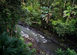 Ubud zen river house, secluded tranquil retreat in nature