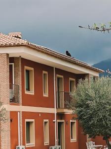 Finca Oliva - Bed & Breakfast - Hotel