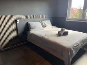 Appartements Colmar Appartement terrasse 10min centre ville : photos des chambres