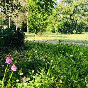 Campings Camping La Vaugelette - Drome : photos des chambres