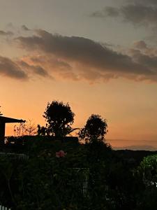 Lâm Khanh Home Bảo Lâm- Nhà gỗ bên rừng thông