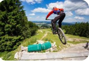 Appartements Le chamois mont d-or : photos des chambres