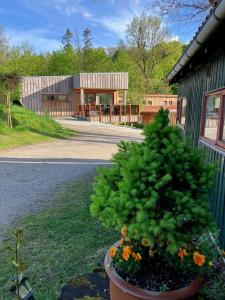 Apartment with Terrace room in Randbøldal Camping & Cabins