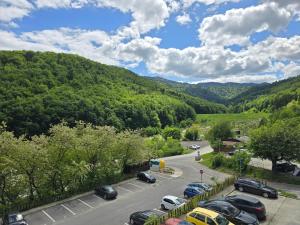 Tampa Gardens Apartment