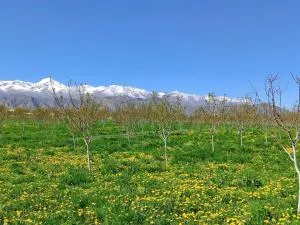 Azamat Lunch - 博孔巴耶沃