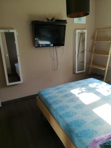 Maisons de vacances Notre nid d'amour - jacuzzi, piscine, billard, bar exterieur, terrain de boules : photos des chambres
