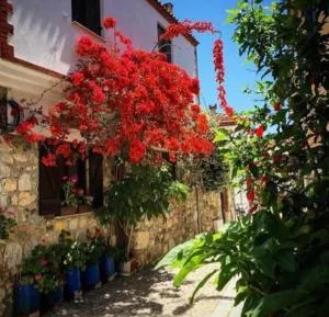 Sığacık Kaleiçi Taş Ev - 瑟阿哲克