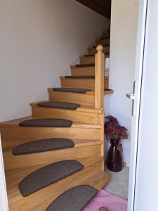 Apartmaji Magda