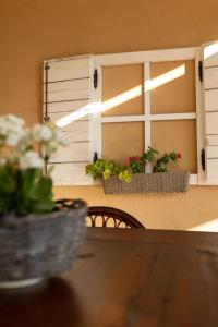 Apartman Flos,terrace 40 m2, sea view