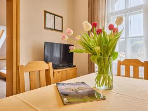 Apartment Stříbrný pramen-4 by Interhome