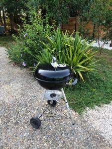 Maisons de vacances Gite “Les reflets de la Charente” : photos des chambres