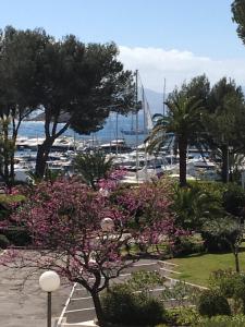 Appartement -piscine- proche bord de mer et centre