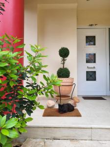 Vivere Terrace Seaside Kalamata