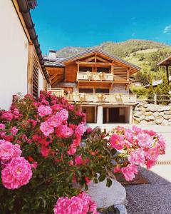 Chalets Chalet familial La Griotte avec piscine : Chalet