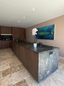 Villas Villa avec piscine et vue panoramique du Luberon : photos des chambres